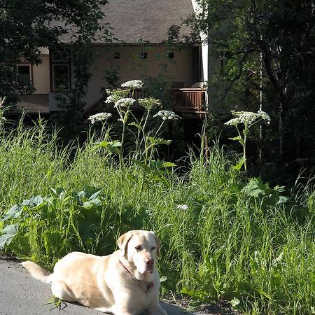 Eagle Peak Guesthouse Eagle River Bagian luar foto