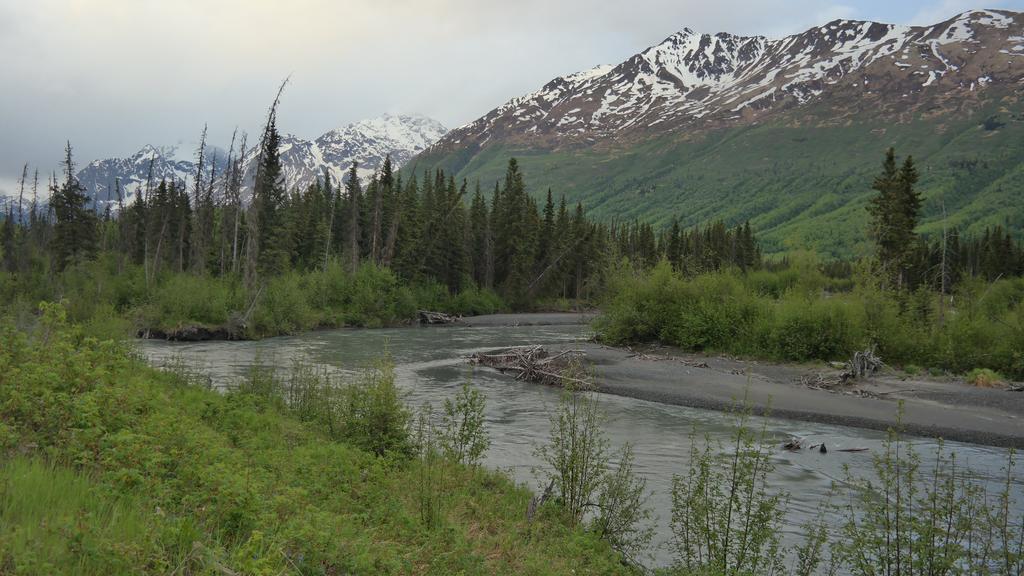 Eagle Peak Guesthouse Eagle River Bagian luar foto