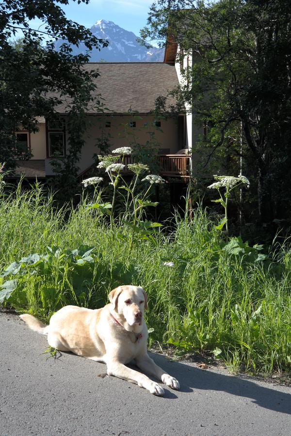 Eagle Peak Guesthouse Eagle River Bagian luar foto